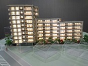 �}���V�����͌^�T